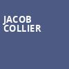 Jacob Collier, Mahaffey Theater, St. Petersburg